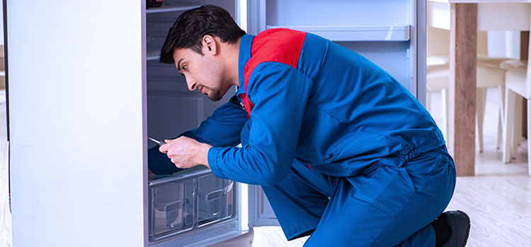 Freezer Repair Services in Irvington, New Jersey