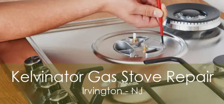 Kelvinator Gas Stove Repair Irvington - NJ