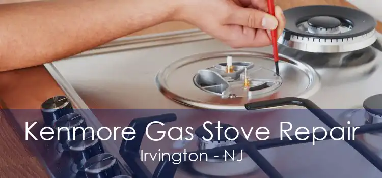 Kenmore Gas Stove Repair Irvington - NJ