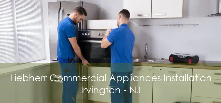 Liebherr Commercial Appliances Installation Irvington - NJ