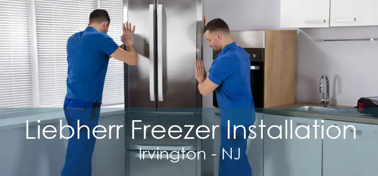 Liebherr Freezer Installation Irvington - NJ