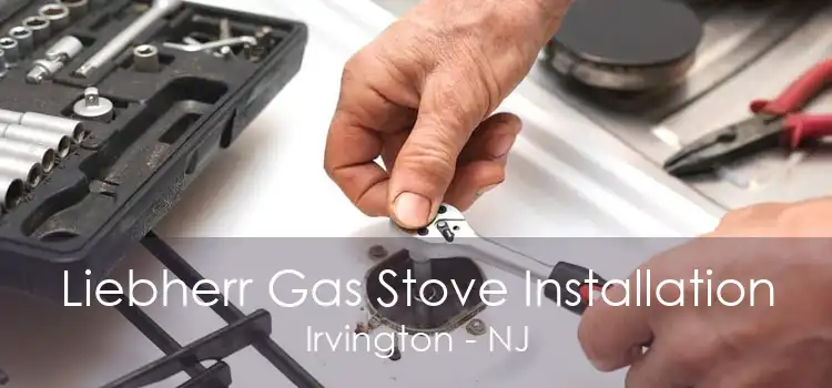 Liebherr Gas Stove Installation Irvington - NJ