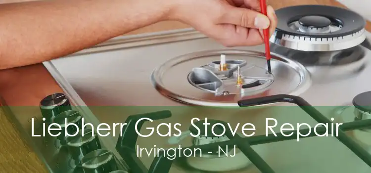 Liebherr Gas Stove Repair Irvington - NJ