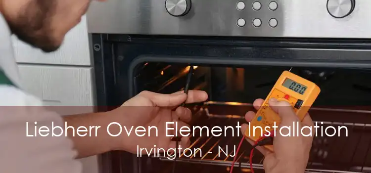 Liebherr Oven Element Installation Irvington - NJ