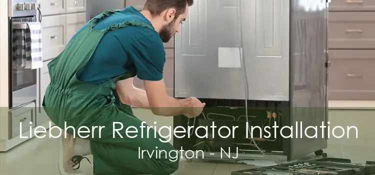 Liebherr Refrigerator Installation Irvington - NJ