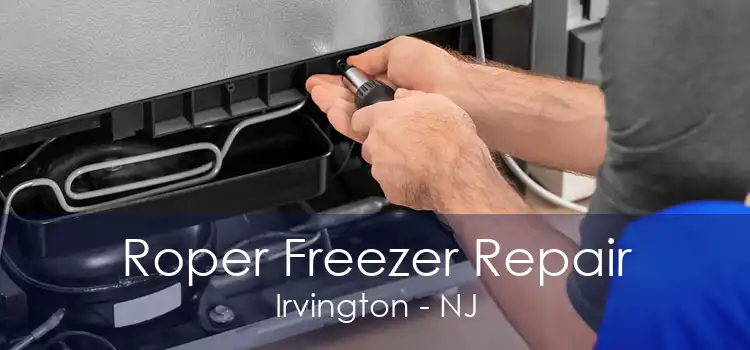 Roper Freezer Repair Irvington - NJ