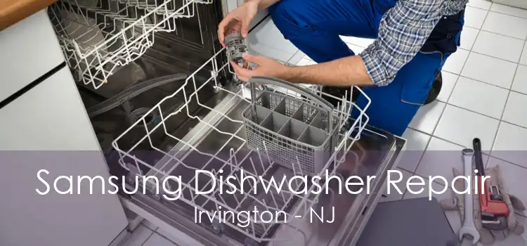 Samsung Dishwasher Repair Irvington - NJ