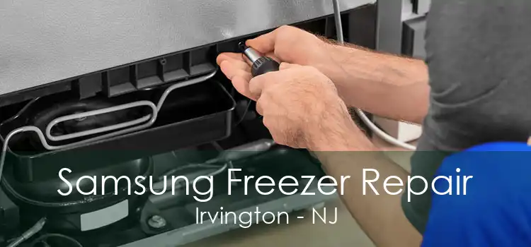 Samsung Freezer Repair Irvington - NJ