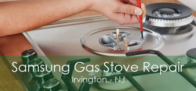 Samsung Gas Stove Repair Irvington - NJ