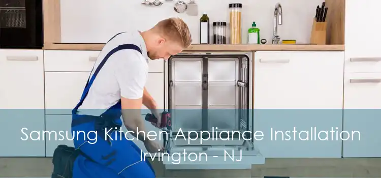 Samsung Kitchen Appliance Installation Irvington - NJ