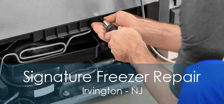 Signature Freezer Repair Irvington - NJ