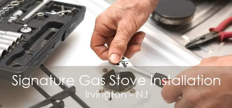 Signature Gas Stove Installation Irvington - NJ