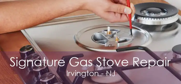 Signature Gas Stove Repair Irvington - NJ