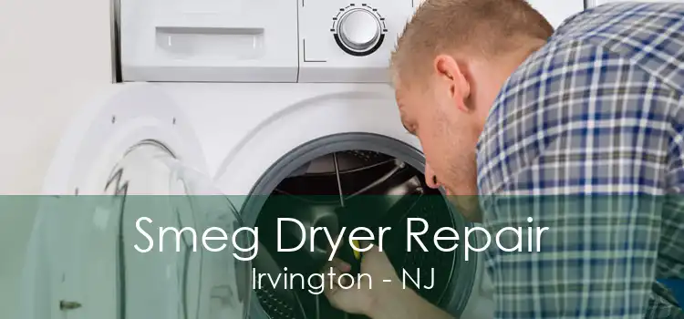 Smeg Dryer Repair Irvington - NJ