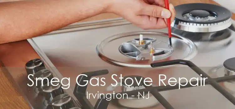 Smeg Gas Stove Repair Irvington - NJ