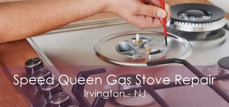 Speed Queen Gas Stove Repair Irvington - NJ