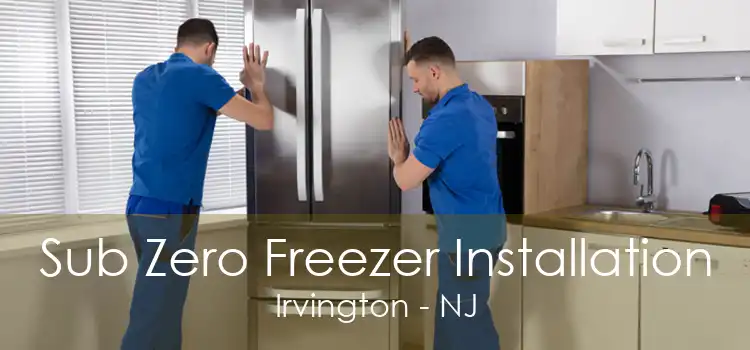 Sub Zero Freezer Installation Irvington - NJ