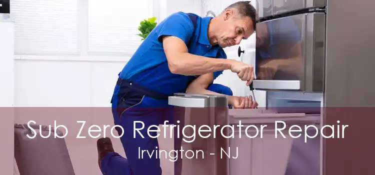 Sub Zero Refrigerator Repair Irvington - NJ