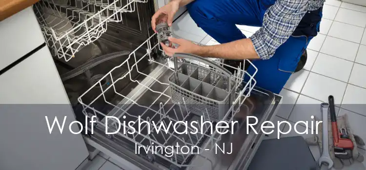 Wolf Dishwasher Repair Irvington - NJ