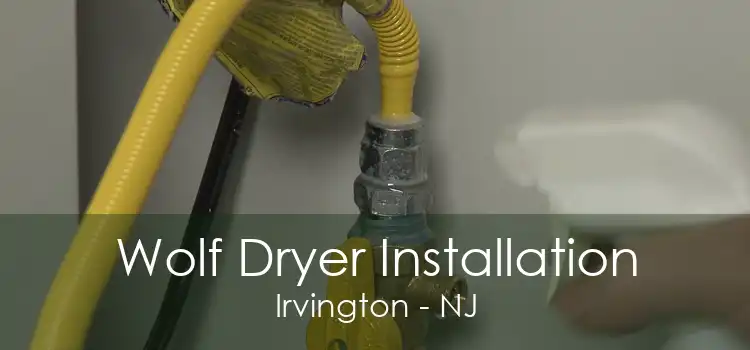 Wolf Dryer Installation Irvington - NJ