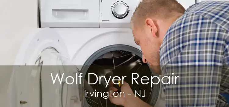 Wolf Dryer Repair Irvington - NJ