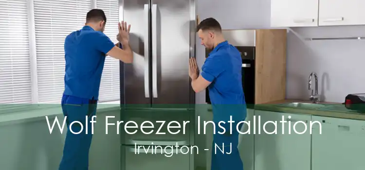 Wolf Freezer Installation Irvington - NJ