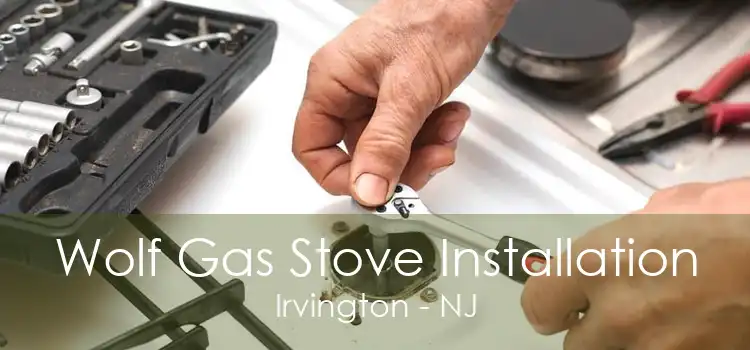 Wolf Gas Stove Installation Irvington - NJ