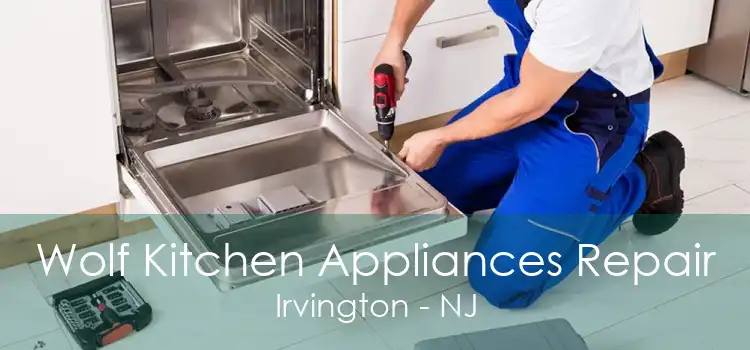 Wolf Kitchen Appliances Repair Irvington - NJ