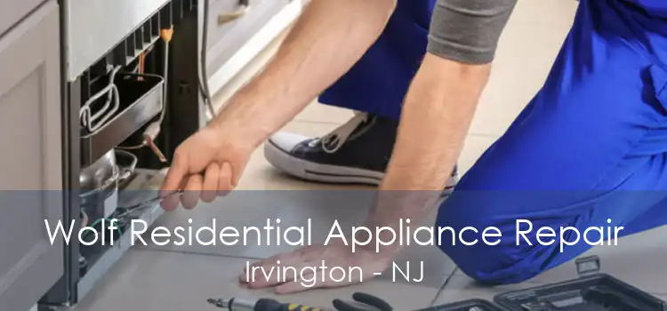 Wolf Residential Appliance Repair Irvington - NJ