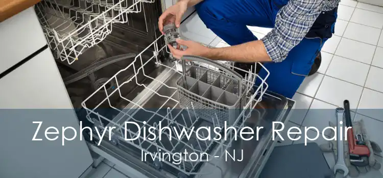 Zephyr Dishwasher Repair Irvington - NJ